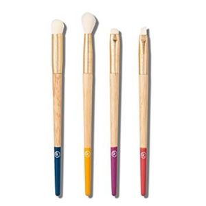 Sonia Kashuk Limited Edition Dipped Brush Set NEW
